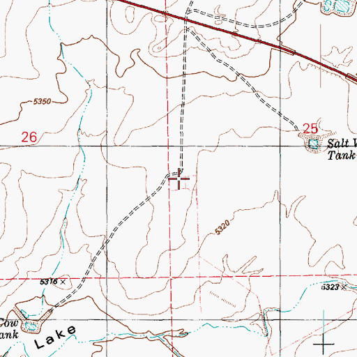 Topographic Map of Salt Well, AZ