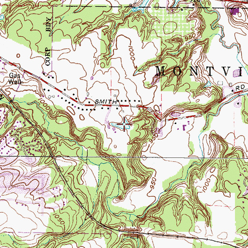 Topographic Map of Torok Pond, OH