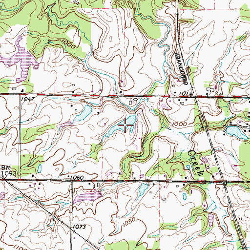 Topographic Map of Rice Pond, OH