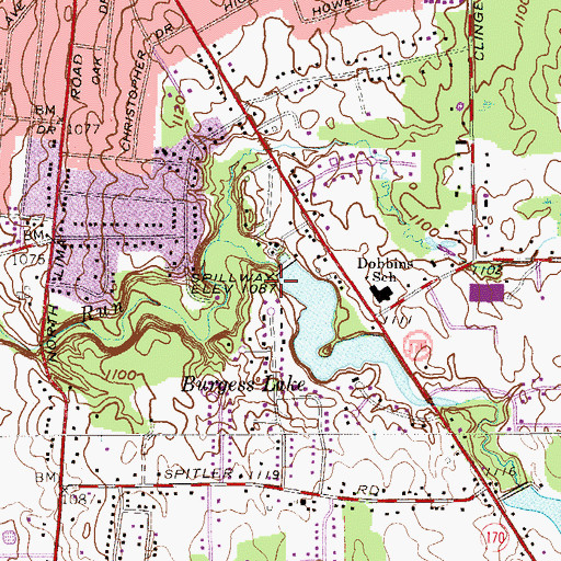 Topographic Map of Burgess Lake Dam, OH