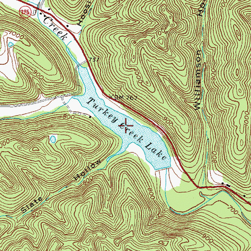 Topographic Map of Turkey Creek Lake, OH
