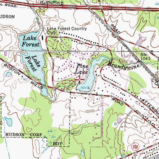 Topographic Map of Pine Lake Dam, OH