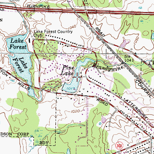 Topographic Map of Pine Lake, OH