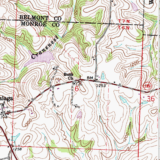 Topographic Map of Bush Cemetery, OH