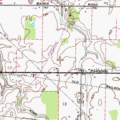 Topographic Map of Wilsons Private Airport (historical), OH