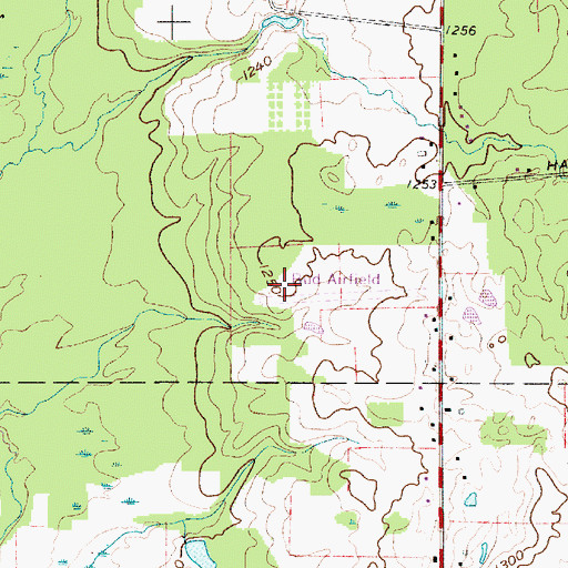 Topographic Map of Rick's Airport, OH