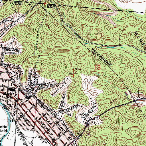 Topographic Map of WSEO-FM (Nelsonville), OH