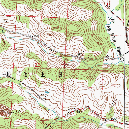 Topographic Map of Township of White Eyes, OH