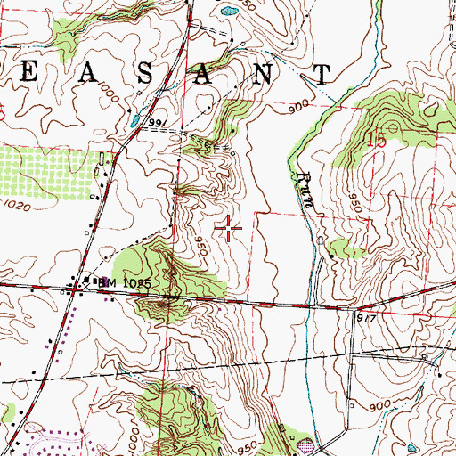 Topographic Map of Township of Pleasant, OH
