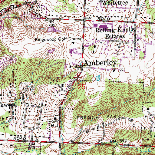 Topographic Map of Village of Amberley, OH