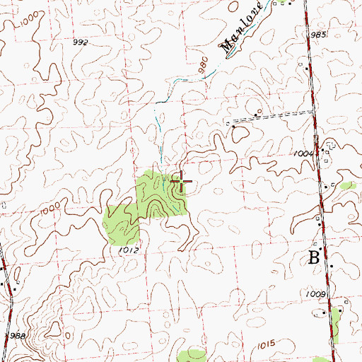 Topographic Map of Township of Buck, OH