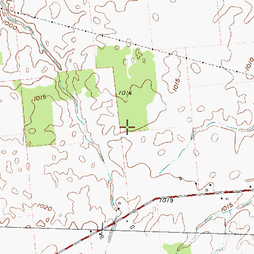 Topographic Map of Township of Lynn, OH