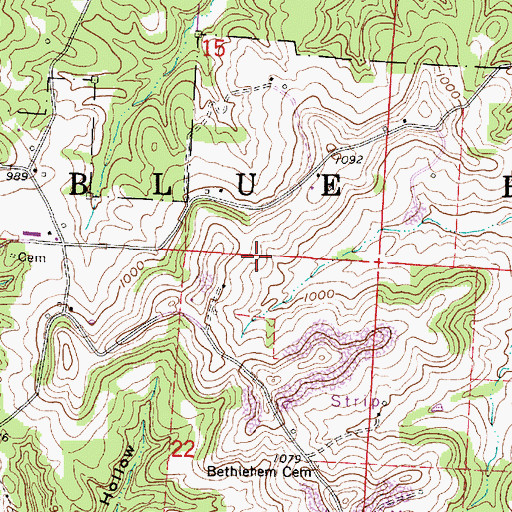 Topographic Map of Township of Blue Rock, OH