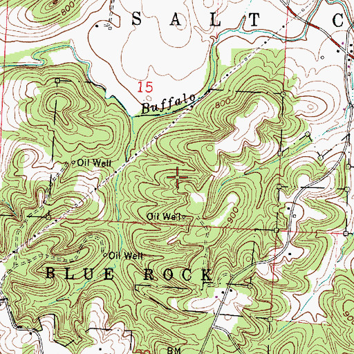 Topographic Map of Township of Salt Creek, OH