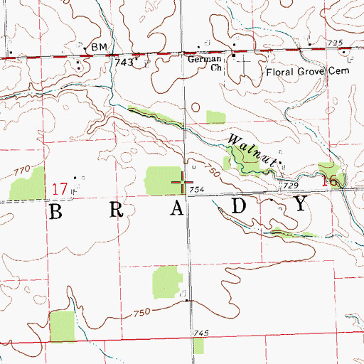 Topographic Map of Township of Brady, OH