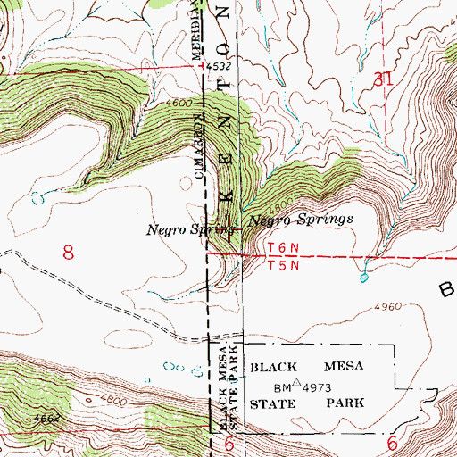 Topographic Map of Negro Spring, OK