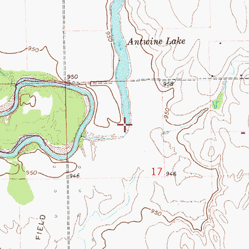 Topographic Map of Antwine Lake, OK