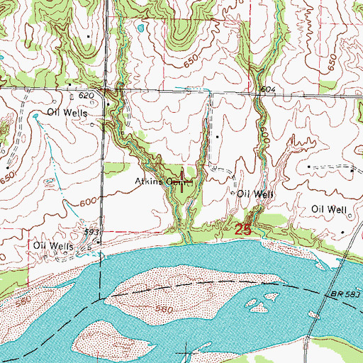 Topographic Map of Atkins Cemetery, OK