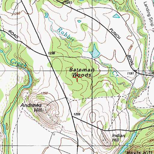 Topographic Map of Bateman Woods, OK