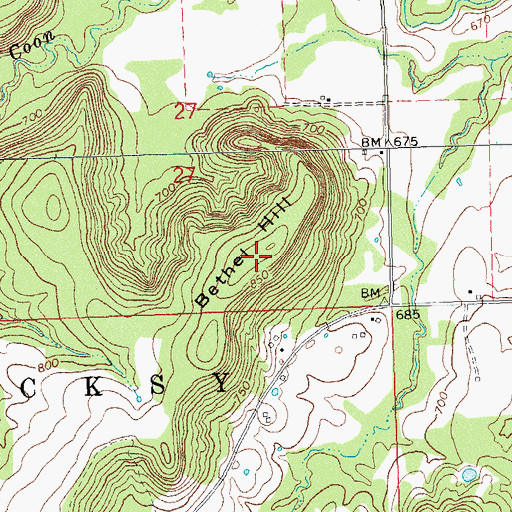 Topographic Map of Bethel Hill, OK
