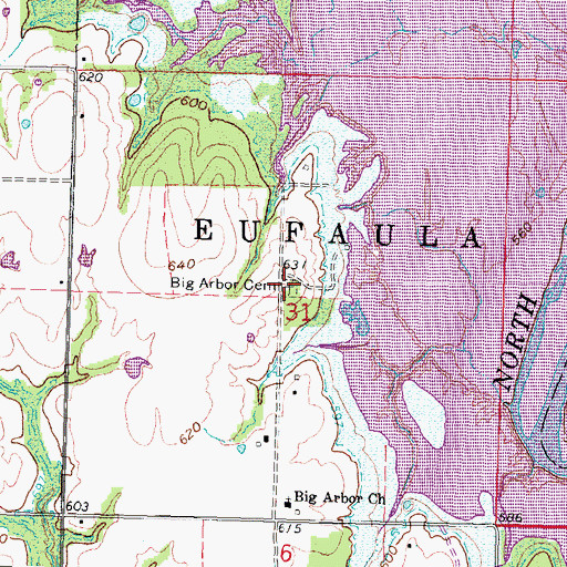 Topographic Map of Big Arbor Cemetery, OK