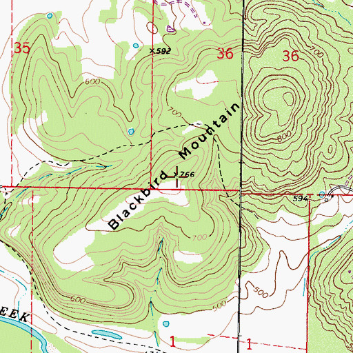 Topographic Map of Blackbird Mountain, OK