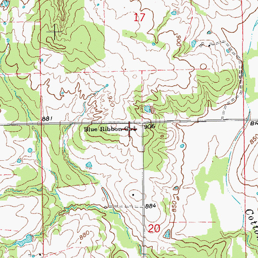 Topographic Map of Blue Ribbon Church, OK