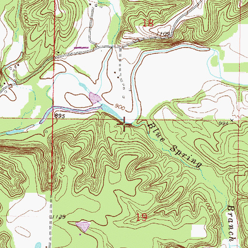 Topographic Map of Blue Spring Branch, OK