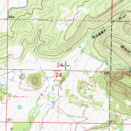 Topographic Map of Boggy Hollow, OK