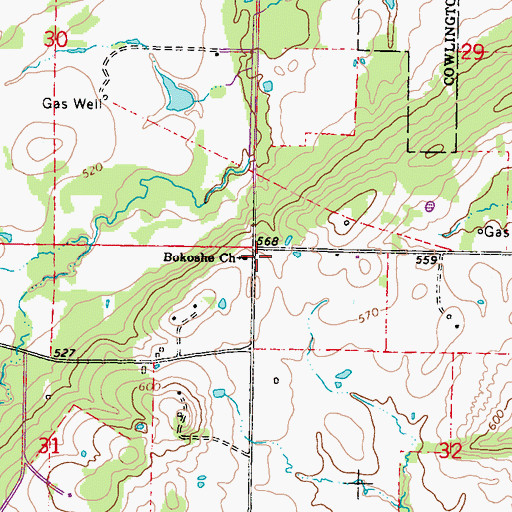 Topographic Map of Bokoshe Church, OK