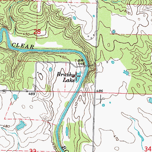 Topographic Map of Brushy Lake, OK