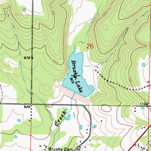 Topographic Map of Brushy Lake, OK