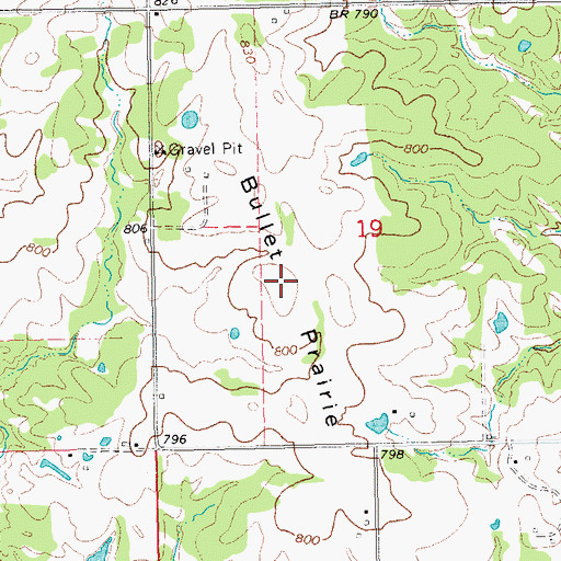 Topographic Map of Bullet Prairie, OK