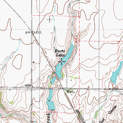 Topographic Map of Burts Lake, OK