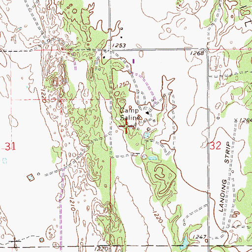 Topographic Map of Camp Saline, OK