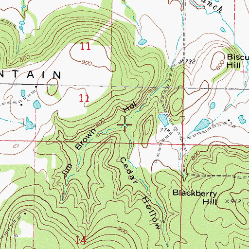 Topographic Map of Cedar Hollow, OK