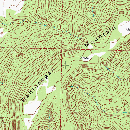 Topographic Map of Dahlonegah Mountain, OK