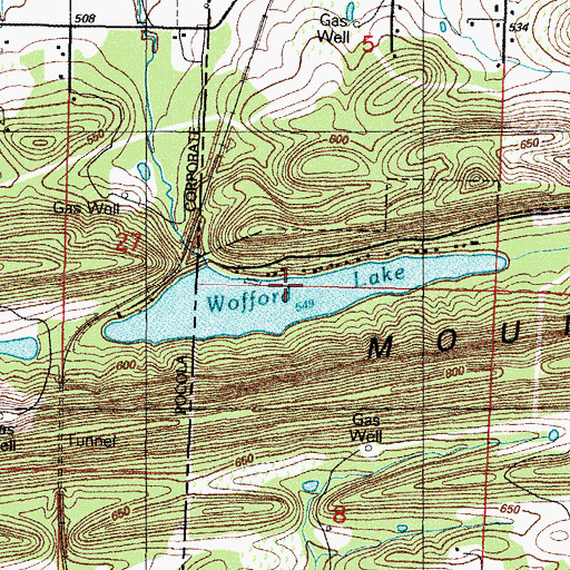 Topographic Map of Wofford Lake, OK