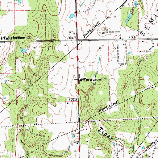 Topographic Map of Ferguson Church, OK