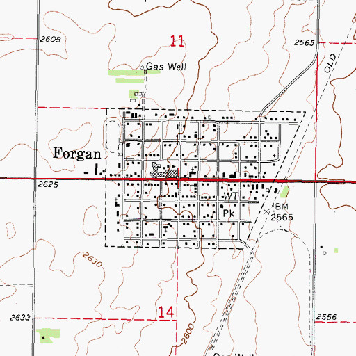 Topographic Map of Forgan, OK
