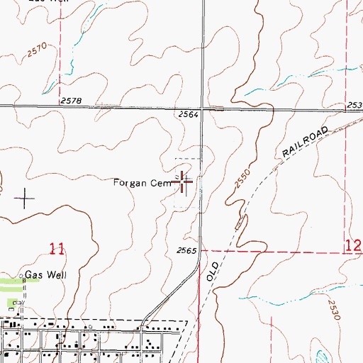 Topographic Map of Forgan Cemetery, OK