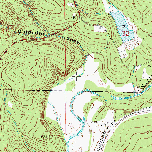 Topographic Map of Goldmine Hollow, OK