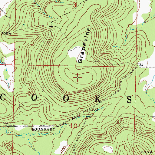 Topographic Map of Grapevine Mountain, OK