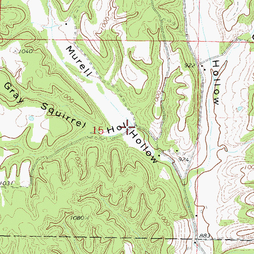Topographic Map of Gray Squirrel Hollow, OK