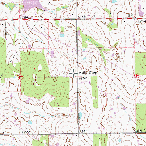 Topographic Map of Hale Cemetery, OK