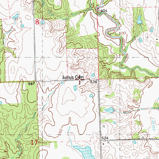 Topographic Map of Julius Cemetery, OK