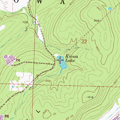 Topographic Map of Kiowa Lake, OK