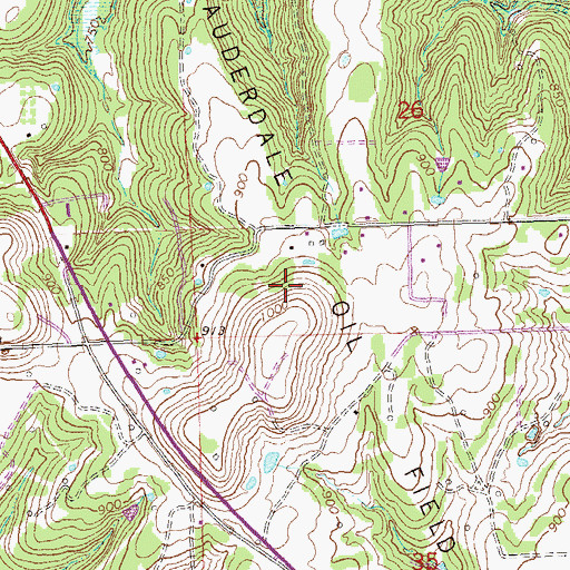 Topographic Map of Lauderdale Oil Field, OK
