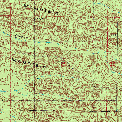 Topographic Map of Little White Oak Mountain, OK