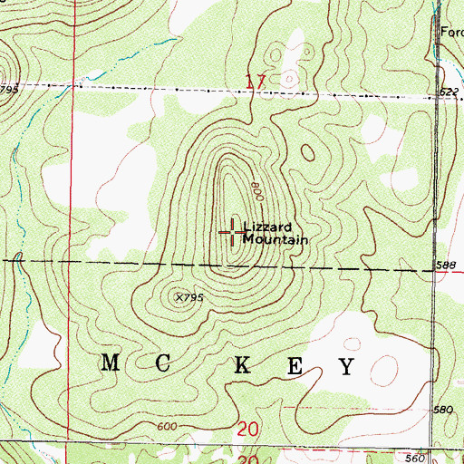 Topographic Map of Lizzard Mountain, OK
